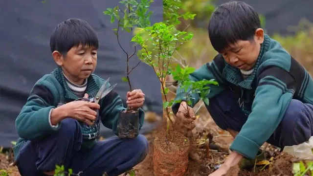 Planting a Sapling of Hope, Stir-frying Beef Noodles, A Fulfilling Day