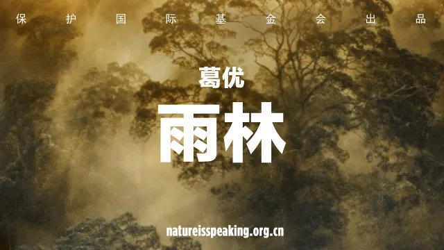 Nature Speaks: Ge You and the Rainforest – Conservation International (CI)